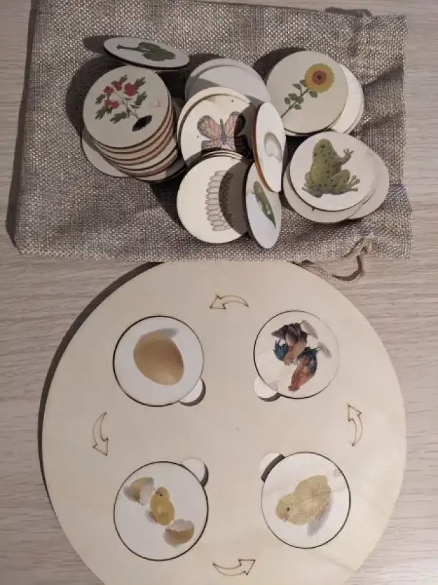 Montessori-Lebenszyklen Tiere, ...