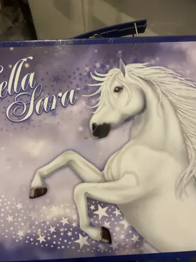Puzzlekoffer Pferd
