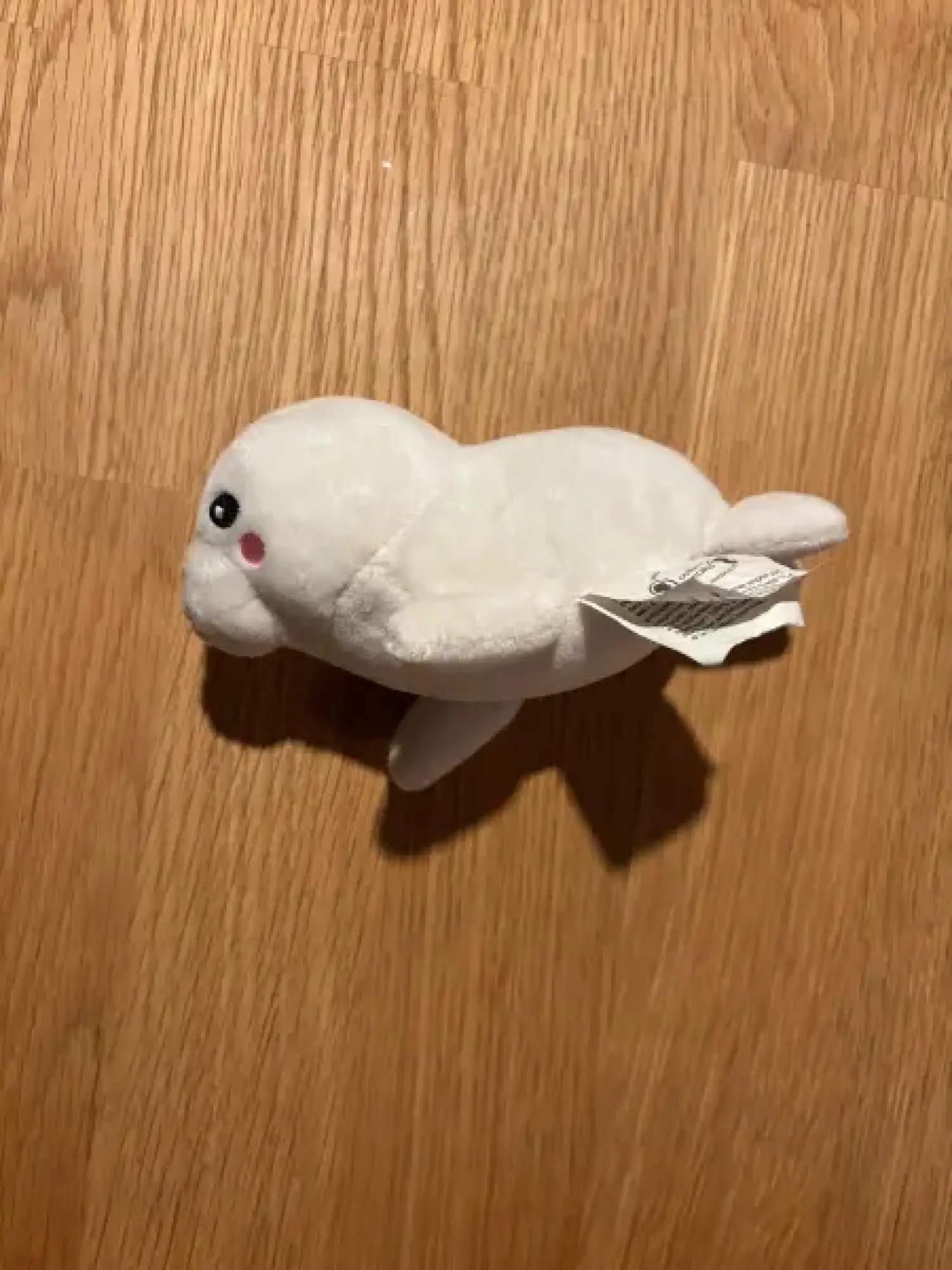 Hauptbild