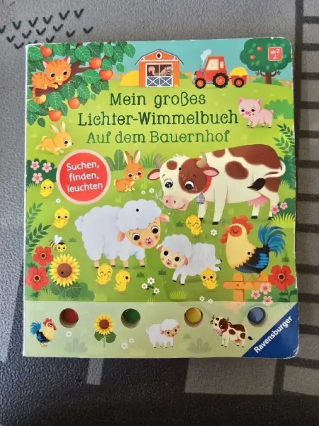 Mein großes Lichterwimmelbuch