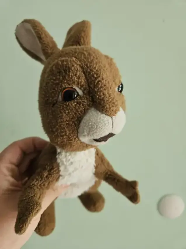 Hase