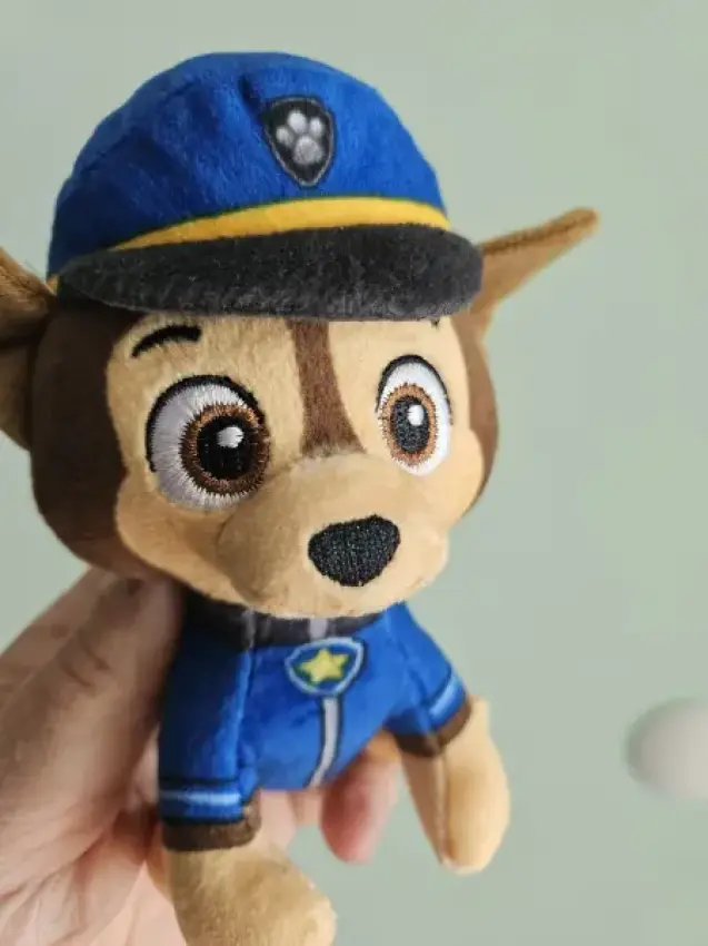 Po patrol