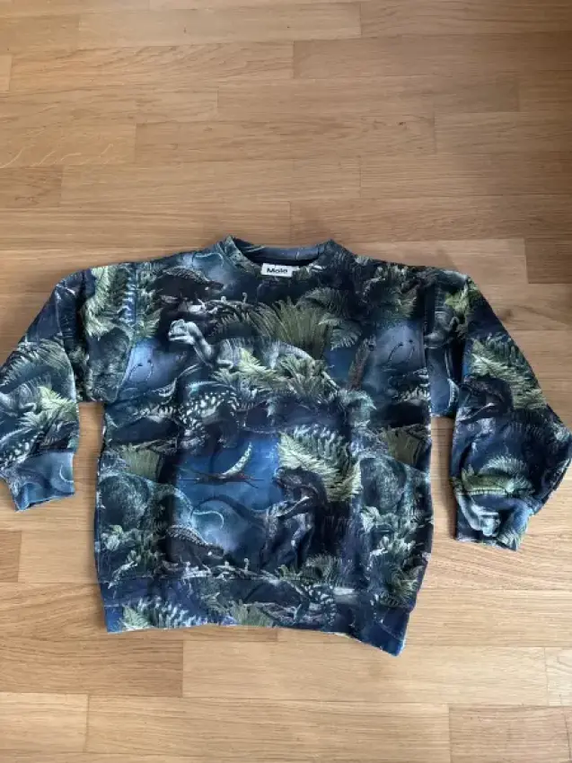 Dino Pulli Molo