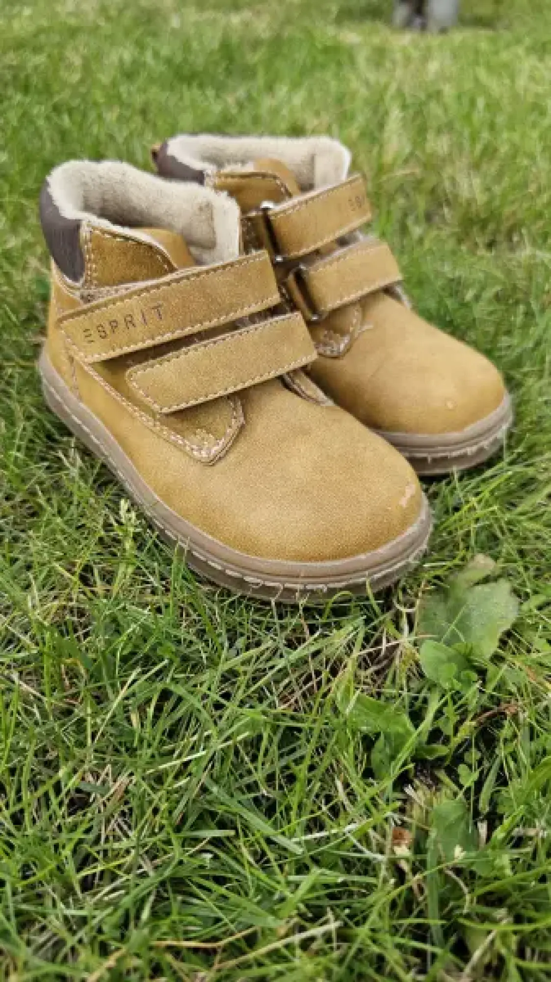 Hauptbild