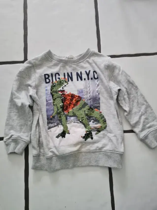 Pullover, H&M, Dino